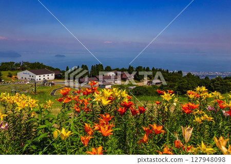 Lily of flowers 127948098