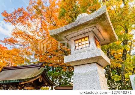 神奈川縣大山阿夫利神社參拜道上的秋葉 127948271