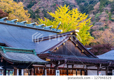 Autumn leaves at Oyama Afuri Shrine, Kanagawa 127948329