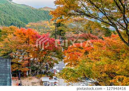 Autumn leaves in the grounds of Oyama Afuri Shrine, Kanagawa 127948416