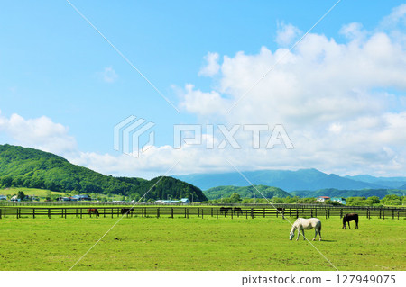 Thoroughbred farm of Hokkaido blue sky 127949075