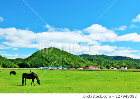 Thoroughbred farm of Hokkaido blue sky 127949088
