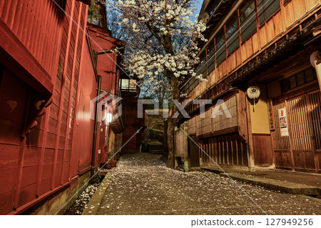 櫻花盛開的一町茶屋街 櫻花盛開的一町茶屋街 127949256