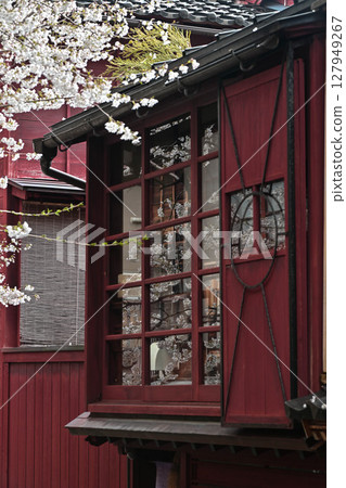 Beautiful cherry blossoms at Kazuemachi Chaya District 127949267
