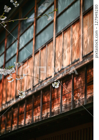 Beautiful cherry blossoms at Kazuemachi Chaya District 127949280