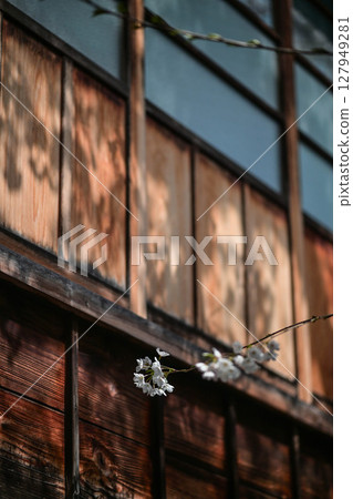 Beautiful cherry blossoms at Kazuemachi Chaya District Beautiful cherry blossoms at Kazuemachi Chaya District 127949281