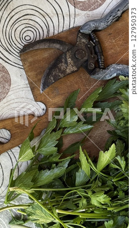 Closeup of fresh parsley with a rusty garden shear placed on a wooden cutting board over a patterned surface. Closeup of fresh parsley with a rusty garden shear placed on a wooden cutting board over a patterned surface. 127950373