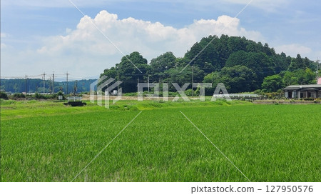 農村鐵路道口景觀 農村鐵路道口景觀 127950576