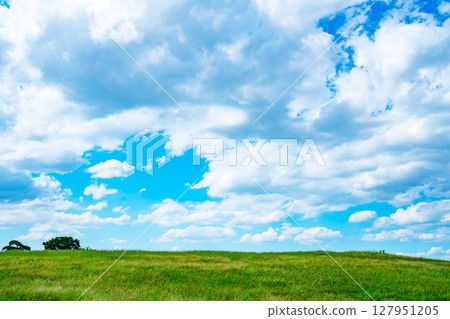 藍天和雲彩和大草原 藍天和雲彩和大草原 127951205