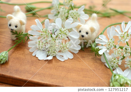 Pure white lace flowers and a white felt puppy 127951217