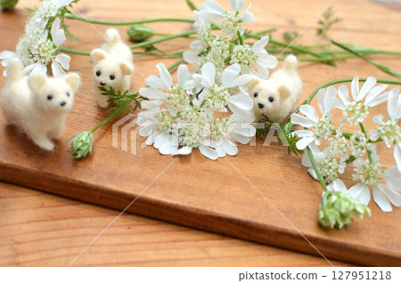 Pure white lace flowers and a white felt puppy Pure white lace flowers and a white felt puppy 127951218