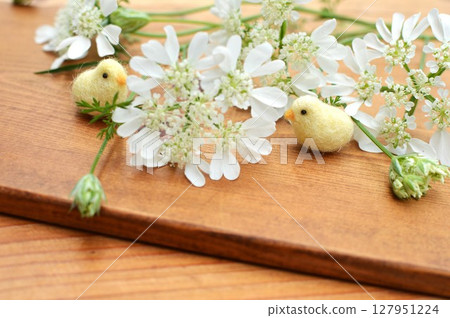 Pure white lace flowers and felt chicks Pure white lace flowers and felt chicks 127951224