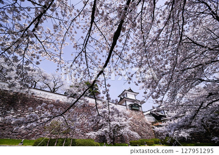 金澤城公園櫻花盛開 127951295