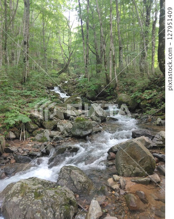 A tranquil green mountain stream A tranquil green mountain stream 127951409