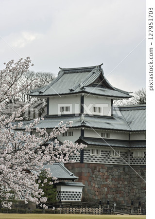 Kanazawa Castle Park with cherry blossoms in full bloom Kanazawa Castle Park with cherry blossoms in full bloom 127951703