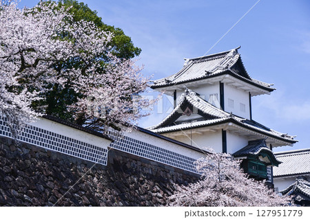 金澤城公園櫻花盛開 金澤城公園櫻花盛開 127951779