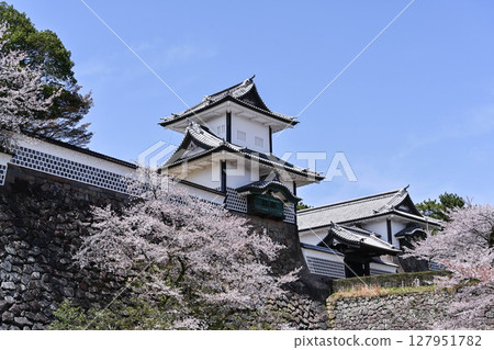 金澤城公園櫻花盛開 金澤城公園櫻花盛開 127951782