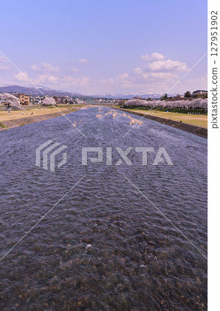 Sai River with cherry blossoms in full bloom 127951902