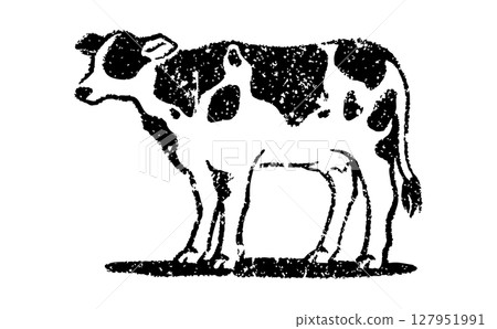 Dairy cow illustrations: stamps and print-style materials Dairy cow illustrations: stamps and print-style materials 127951991