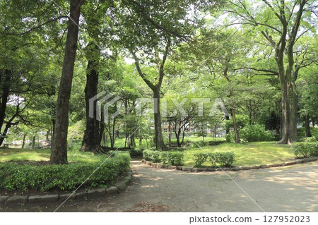 Shimochaya Park (Tachibana, Naka Ward, Nagoya City) 127952023