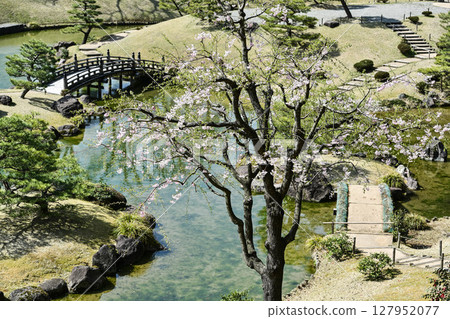 Kanazawa Castle Gyokusen'inmaru Garden with beautiful cherry blossoms Kanazawa Castle Gyokusen'inmaru Garden with beautiful cherry blossoms 127952077