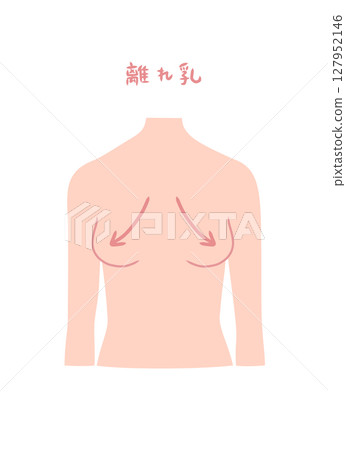 Illustration of a woman's upper body with large breasts 127952146