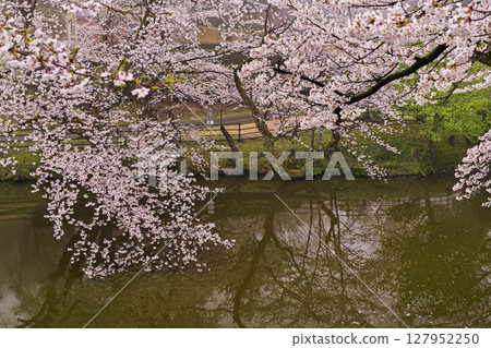 Mt. Utatsu in full bloom Mt. Utatsu in full bloom 127952250