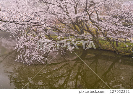 Mt. Utatsu in full bloom 127952251