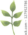 以水彩風格繪製的綠葉簡單植物的向量插圖 | 葉子，植物，水彩風格，樹枝，綠色，自然 127952786