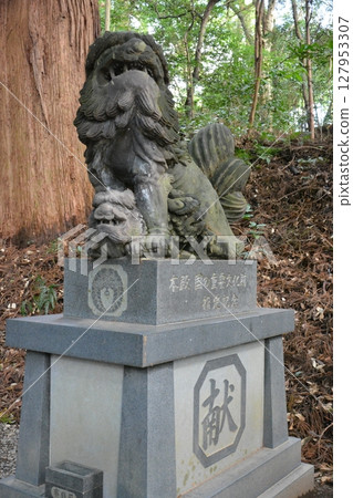 橫跨高千穗峽自然美景的橋樑 127953307