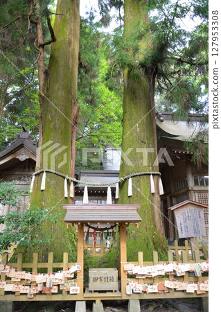 橫跨高千穗峽自然美景的橋樑 127953308