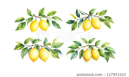 Fresh lemon slices in juice. Healthy organic citrus fruit rich in vitamin C isolated on white background 127953325