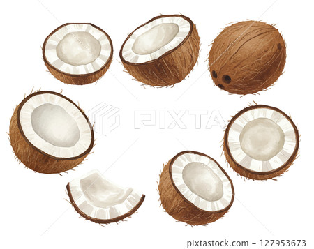 Coconut in watercolor style Coconut in watercolor style 127953673