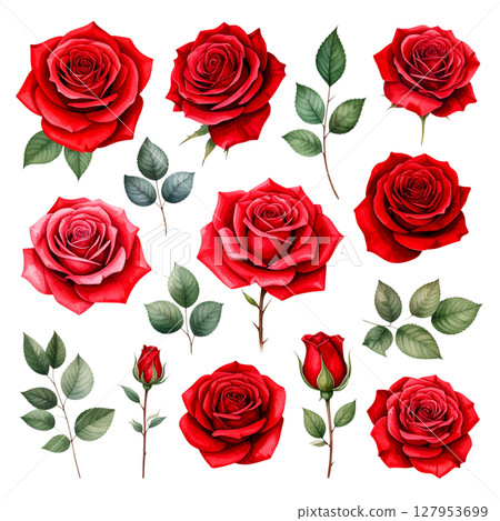 Seamless pattern of beautiful red roses with green leaves on white background. 127953699
