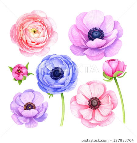 Set of colorful flower illustrations, suitable for floral design on white background. 127953704