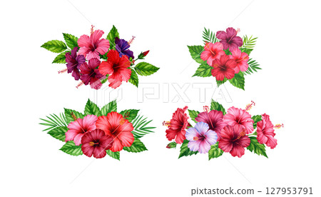 Blooming floral rose bouquet design with red and pink petals and green leaves on white Blooming floral rose bouquet design with red and pink petals and green leaves on white 127953791