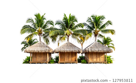 Tropical beach island with green palm trees and coconuts under the sun Tropical beach island with green palm trees and coconuts under the sun 127953811