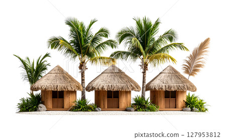 Tropical beach island with green palm trees and coconuts under the sun 127953812
