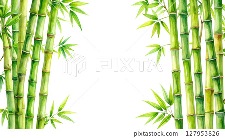 Green bamboo plant with leaves, isolated on white background 127953826