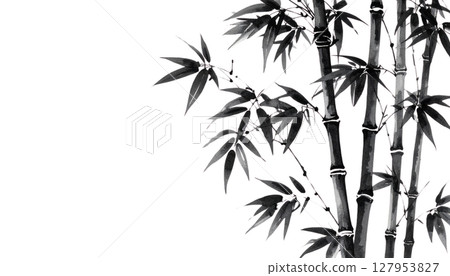 Green bamboo plant with leaves, isolated on white background 127953827