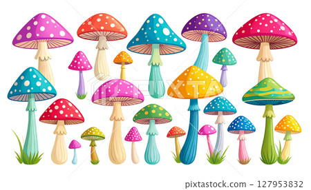 Cute illustrations of mushrooms and fungi. Cute illustrations of mushrooms and fungi. 127953832