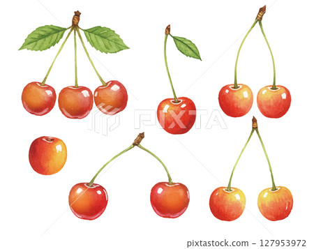 水彩風格的櫻桃 水彩風格的櫻桃 127953972