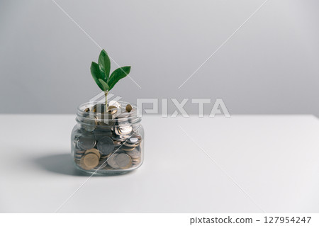 Business concept growth involves strategic financial management money loan investment bank real estate economic development encourage save buy home car education income stack investment economy return 127954247