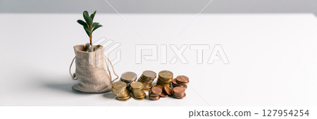 Business concept growth involves strategic financial management money loan investment bank real estate economic development encourage save buy home car education income stack investment economy return Business concept growth involves strategic financial management money loan investment bank real estate economic development encourage save buy home car education income stack investment economy return 127954254