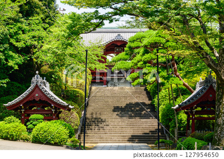 Gokokuji Temple, Tokyo Gokokuji Temple, Tokyo 127954650