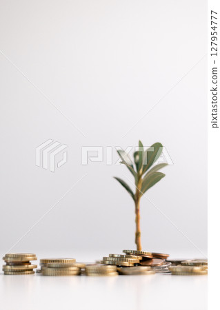 Business concept growth involves strategic financial management money loan investment bank real estate economic development encourage save buy home car education income stack investment economy return 127954777
