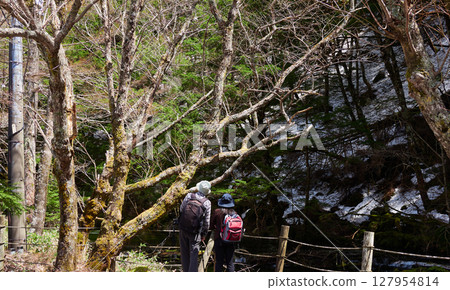 Male and female tourists enjoying the spring scenery of the forest and streams of Kamikochi, a tourist attraction Male and female tourists enjoying the spring scenery of the forest and streams of Kamikochi, a tourist attraction 127954814