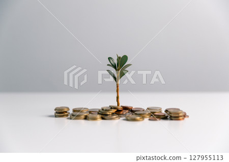 Business concept growth involves strategic financial management money loan investment bank real estate economic development encourage save buy home car education income stack investment economy return Business concept growth involves strategic financial management money loan investment bank real estate economic development encourage save buy home car education income stack investment economy return 127955113