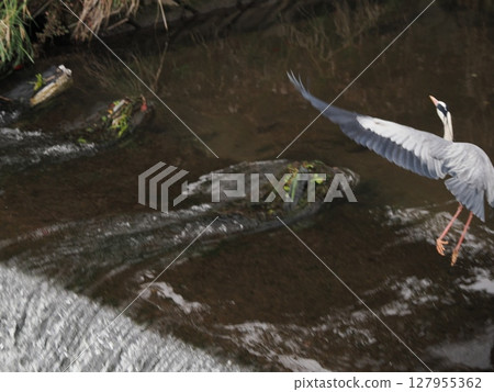 A shadow flying over the water - over rocks and wind A shadow flying over the water - over rocks and wind 127955362