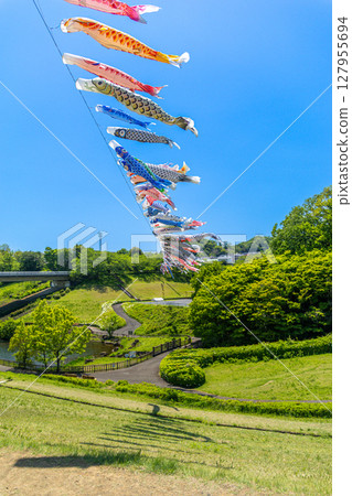 Wakamiya Park: Carp streamers swimming in the blue sky (Atsugi City, Kanagawa Prefecture) 127955694